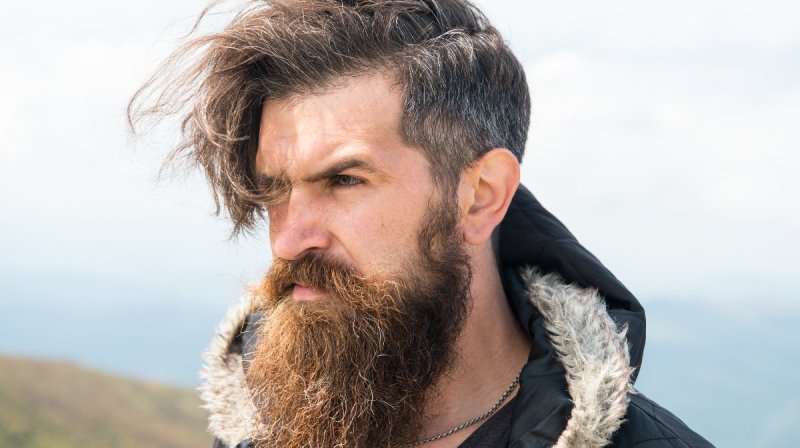 Viking beard